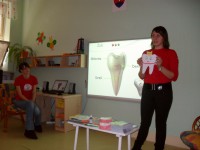 /album/fotogaleria-zubky-ako-perlicky/z-coho-sa-sklada-zubok-jpg/